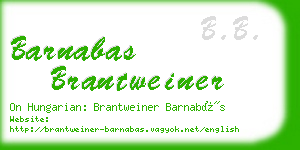 barnabas brantweiner business card